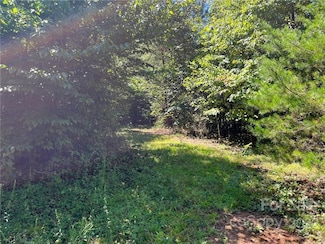 0 Pea Ridge Rd Unit 4 CAR3901960, Bostic, NC 28018