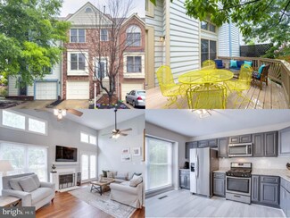 46919 Trumpet Cir, Sterling, VA 20164