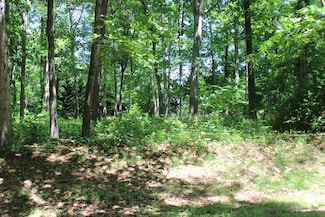 41 Brigantine Blvd, Greenbackville, VA 23356