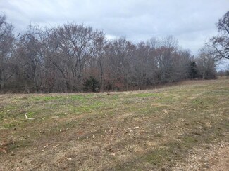 Lot 3 Songbird, Washburn, MO 65772