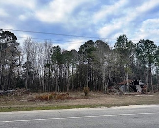 8199 Moses Dingle Rd, Manning, SC 29102