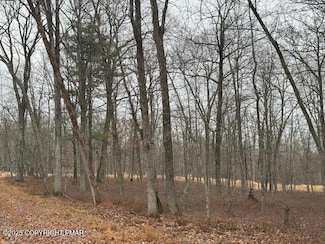 72 & 73 Chippewa Ct, Lackawaxen Township, PA 18435