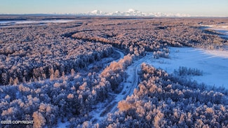 49246 S Hunter Dr, Willow, AK 99688