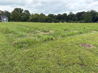 Lot 1A Riverview Cir, Scottsville, KY 42164
