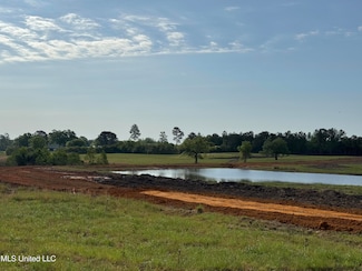 20118 Mississippi 603, Kiln, MS 39556
