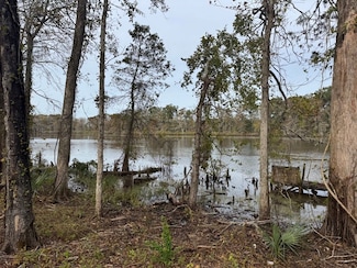0 Lake Guillaume Rd Unit LotWP002, Moreauville, LA 71355