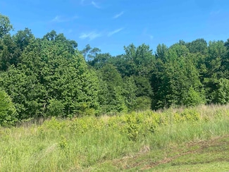 Lot 25 Cinel Loop, Austin, AR 72007