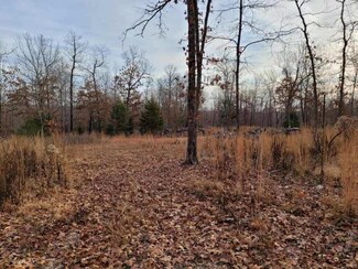 Tbd County Road 7830, Benton Township, MO 65626