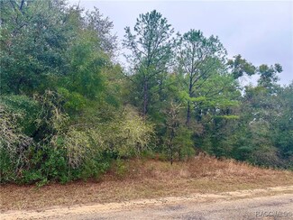 1540 E Artesian Ln, Dunnellon, FL 34434