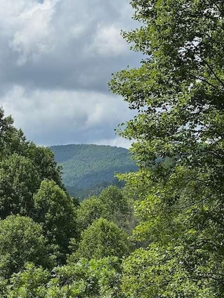 0000 Big Creek Rd, Ellijay, GA 30536