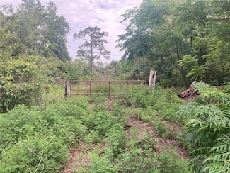 10553 Hazel Ave, Hudson, FL 34669