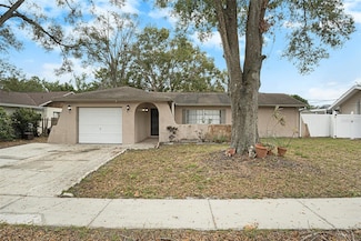 13530 Capitol Dr, Tampa, FL 33613