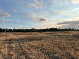 TBD NE 240 St, Fort Mc Coy, FL 32134