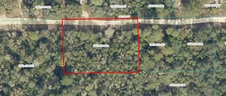 TBD NE 236th St, Fort Mc Coy, FL 32134