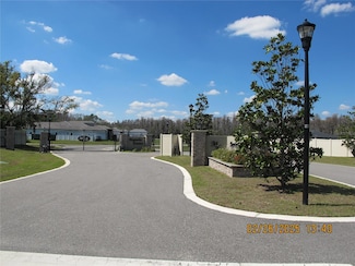297 Magnolia Acres Ct, Lutz, FL 33548