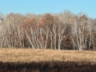 26XXX 175th Ave, Fort Ripley, MN 56449