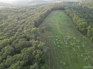 15 Tanglefoot Farms Rd, Festus, MO 63028