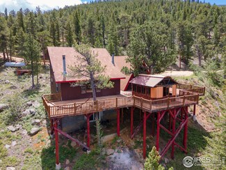 246 Arrowood Dr, Allenspark, CO 80510