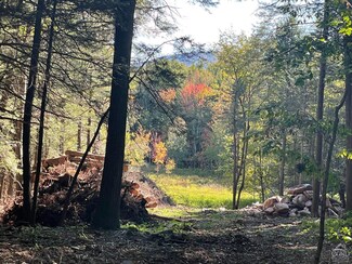 0 Off Begley Rd Unit 153152, Windham, NY 12496