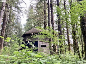 71 N Bass Ct, Otis, OR 97368