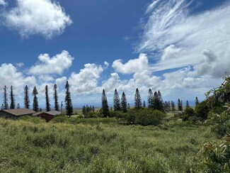lot 461 Linohau Place, Maunaloa, HI 96770