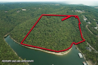 97 Whitedove Ln, Lampe, MO 65681