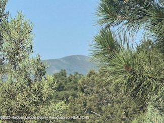 Lot 10A Stable Rd, Alto, NM 88312