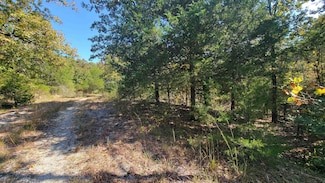 L22 B9 Lochloosa Dr, Cherokee Village, AR 72529