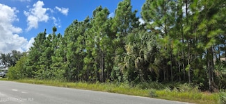 2860 Fontainebleau Ave SE, Palm Bay, FL