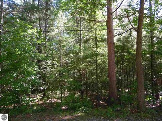 0 Blackfoot Dr Unit 1822215, East Tawas, MI 48730