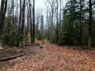 0 Old County Rd N Unit Lot 18 4688423, Deering, NH 03244