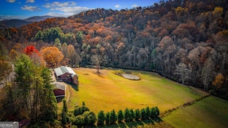 908 Cashes Valley Rd, Cherry Log, GA 30522