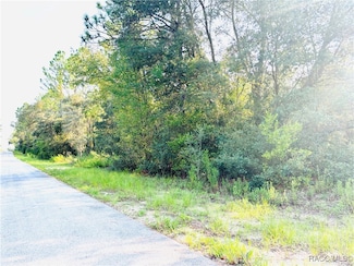 TBD Pineapple Hill Dr, Dunnellon, FL 34431
