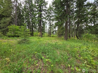 0 R Lot 4 Nelson View Way, Cle Elum, WA 98922