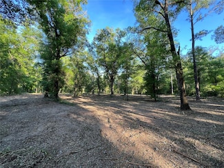 TBD NE 126th St Unit B, Bronson, FL 32621