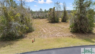 Lot 31 Coopers Point Dr NE, Townsend, GA 31331