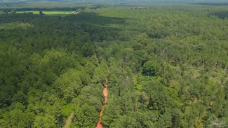 12500 Charlie Foster Rd, Milton, FL 32570