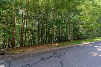 313 Laurel Valley Way, Travelers Rest, SC 29690