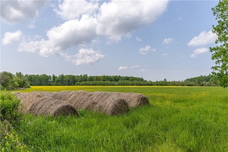 60 Acres Thatcher Rd, Glen Flora, WI 54526