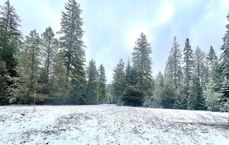 TBD Larch Ln Unit Lot 35, Cusick, WA 99119