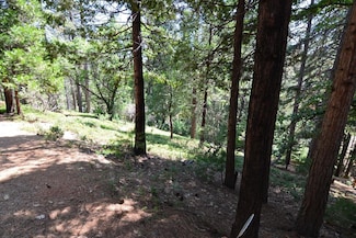 2768 El Dorado Dr, Arnold, CA 95223