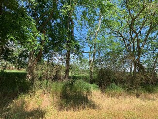Lot 18 County Road 3319, Troy, AL 36079