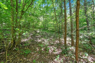0 Co Rd 935 Unit 517242, Cullman, AL 35058