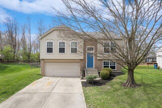 41 Amelia Park Dr, Amelia, OH 45102