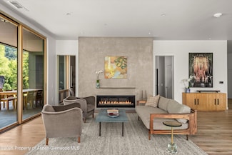 103 Willow Rd Unit 201, Basalt, CO 81621