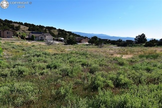 98 Wild Rose Dr, Canon City, CO 81212