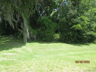 3141 N Canterbury Lake Dr, Hernando, FL 34442