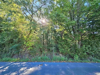 TBD Doggett Cir, Horatio, AR 71842