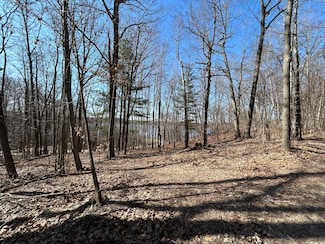 0 Hillview Dr, Belvidere Township, MI 48886