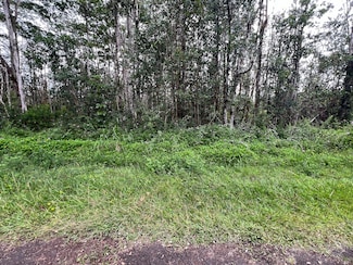 14-3565 Kona Rd, Pahoa, HI 96778